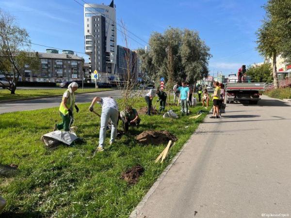 В Перми высадят более 1000 деревьев в рамках озеленения
