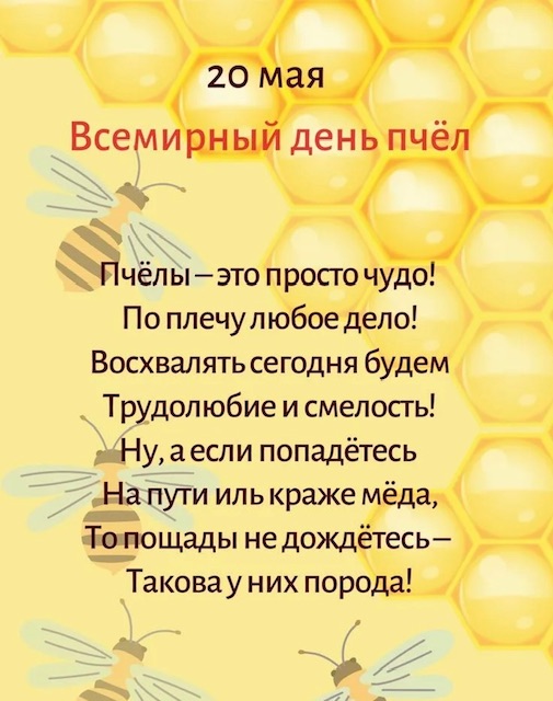 https://i3.imageban.ru/out/2026/05/20/434927770fd3547fed60c98a078321f8.jpeg