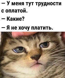 https://i3.imageban.ru/out/2026/05/20/ee025d00b3e0647259f9d237612bce79.jpg