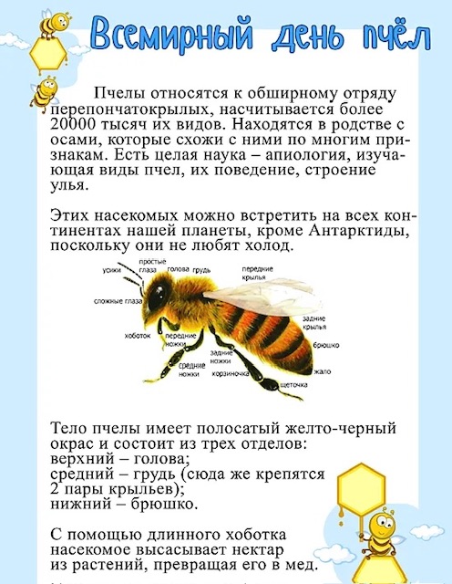 https://i3.imageban.ru/out/2026/05/20/f78049287b717398530451af471ef5d0.jpeg