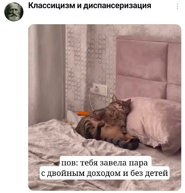https://i3.imageban.ru/out/2026/05/21/021b598df982e938e91ae5144eee272d.jpg
