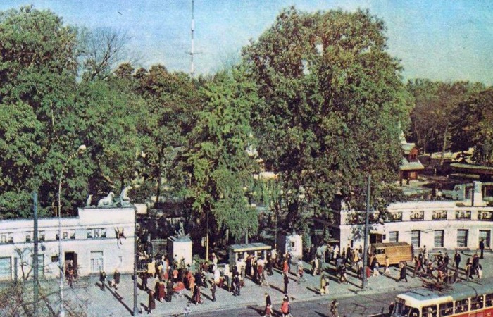 park.jpg