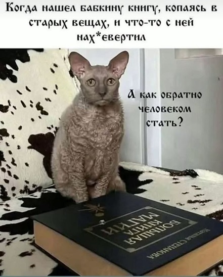 https://i3.imageban.ru/out/2026/05/23/125b49f44957dc5317e36fccee05ba5c.jpg