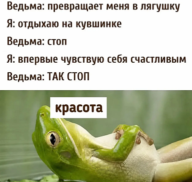 https://i3.imageban.ru/out/2026/05/29/c9544e8a85dd67d0b59e7b167b125adc.png