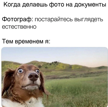 https://i3.imageban.ru/out/2026/05/29/ee7a8743d928c3f035394cfbd8a4556e.png