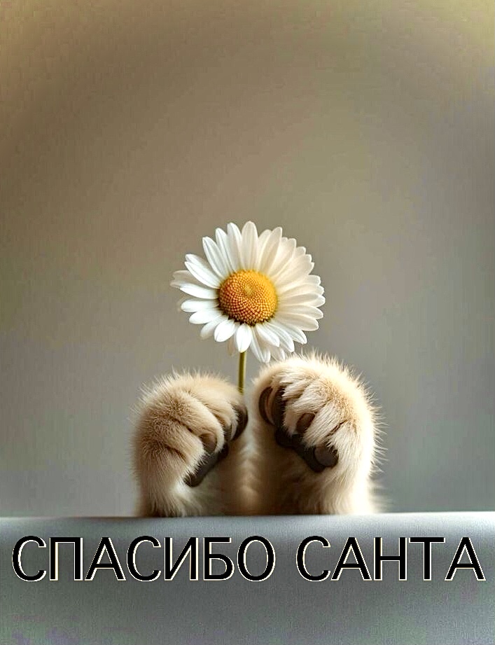 https://i3.imageban.ru/out/2026/05/30/c0234186f1a2ae6d5f103da3e7bdfba7.jpeg
