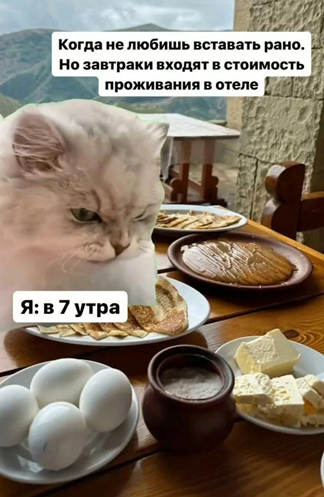 https://i3.imageban.ru/out/2026/06/06/215cddd3d2f7126d3d7e499f543710a6.png