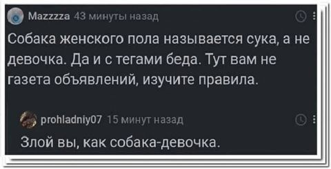 https://i3.imageban.ru/out/2026/06/10/4de0570fdce6a167bdc9ddac805caa42.png
