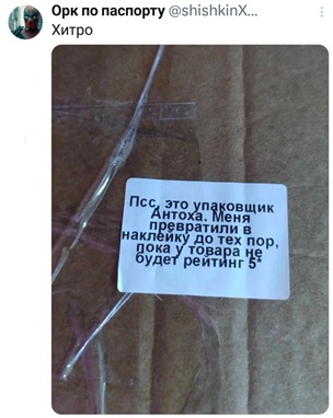 https://i3.imageban.ru/out/2026/06/12/2315a72a50651da4fc1d66c0716fe904.jpg