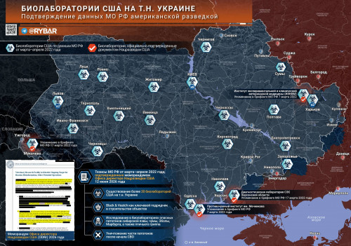 https://i3.imageban.ru/out/2026/06/13/afd8cfc2b2c49dffcceb74446202306b.jpg