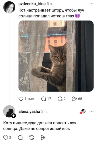 https://i3.imageban.ru/out/2026/06/13/ba0b75d1034029ad1927a1f2af45b03d.jpg
