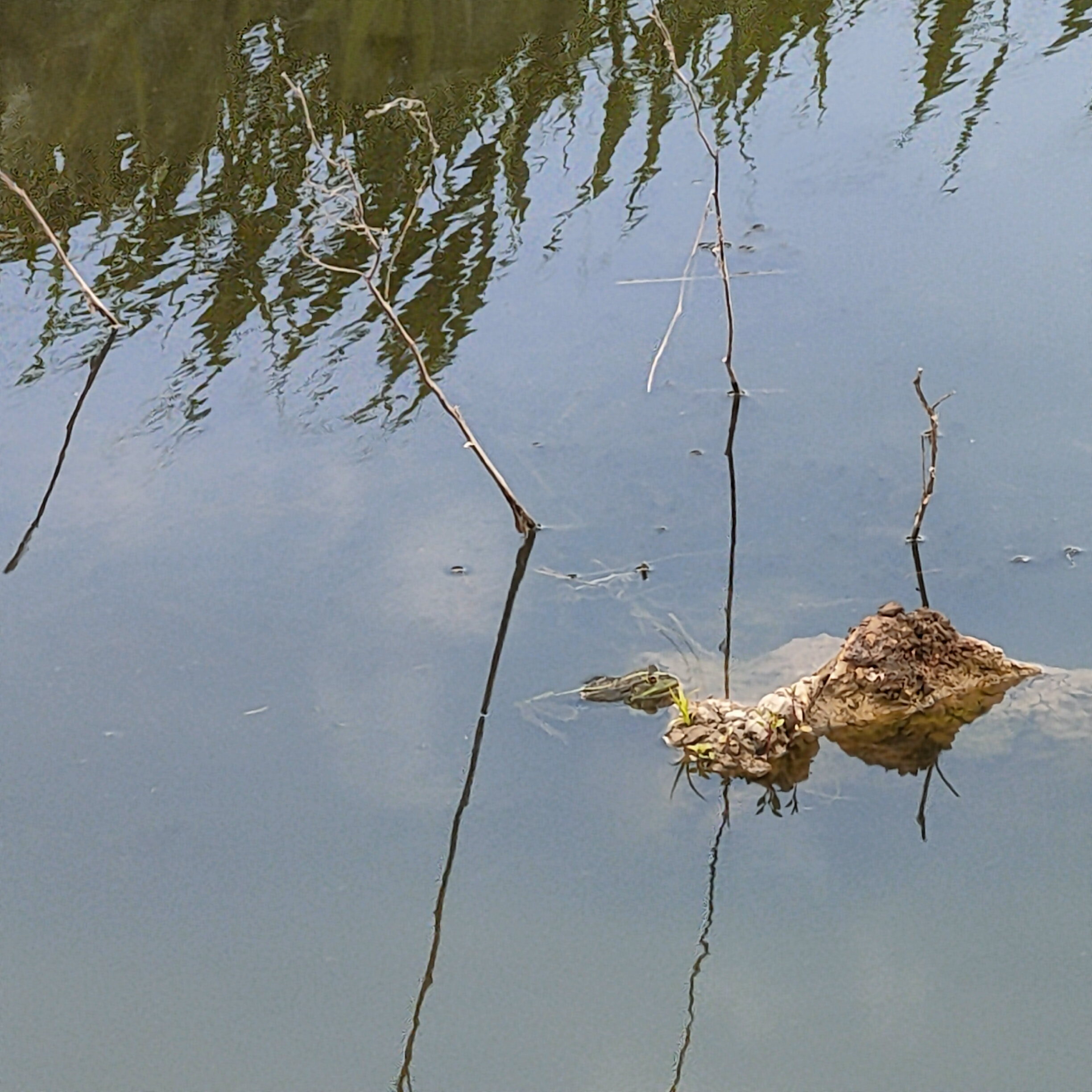 IMG20260614174547.jpg