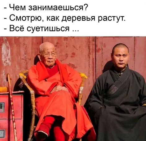 https://i3.imageban.ru/out/2026/06/15/79cdf66b91606f0413c65f1896b9b2dc.png
