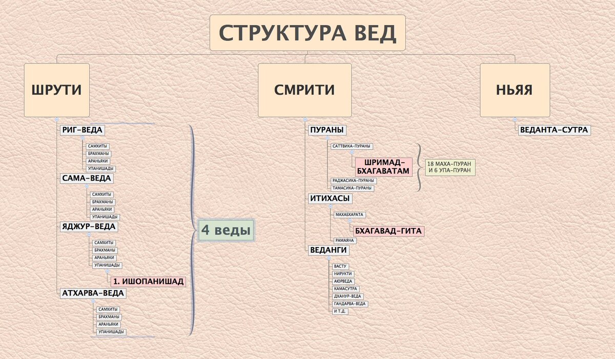 структура Вед.jpg