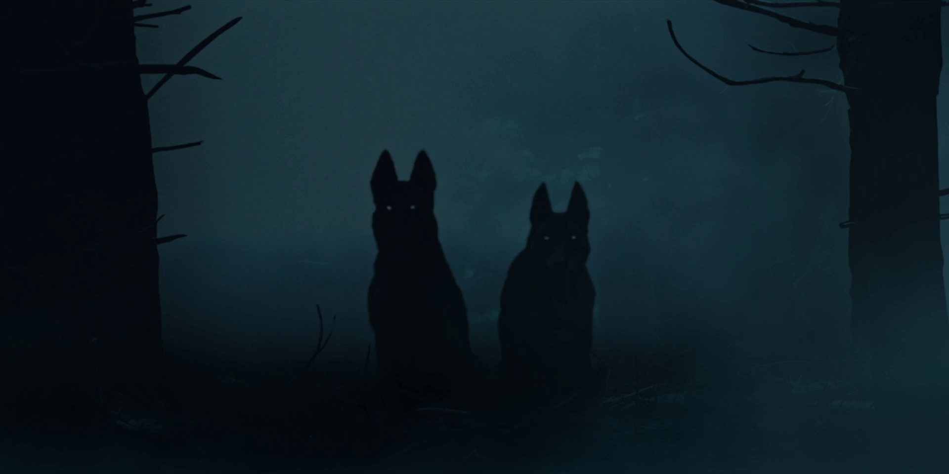 vlcsnap-2026-06-23-03h39m44s211.png