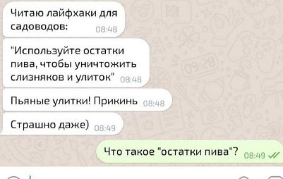 https://i3.imageban.ru/out/2026/06/25/fab504d2cf2c80c92dfeca38162c8cc4.jpg