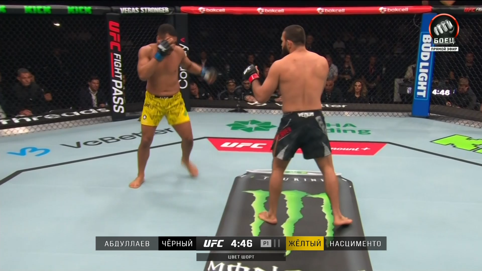 ufc-002.mkv_snapshot_00.13.17.880.png