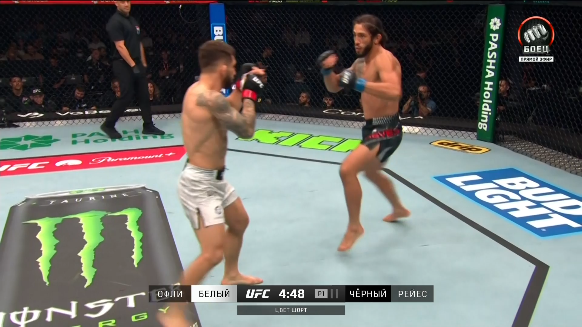 ufc-002.mkv_snapshot_01.33.22.880.png