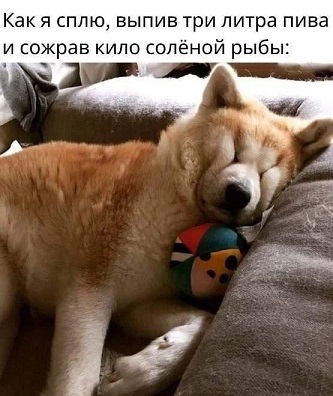 https://i3.imageban.ru/out/2026/06/29/c43f7ab0990bae6a2c46653c9f493aff.jpg