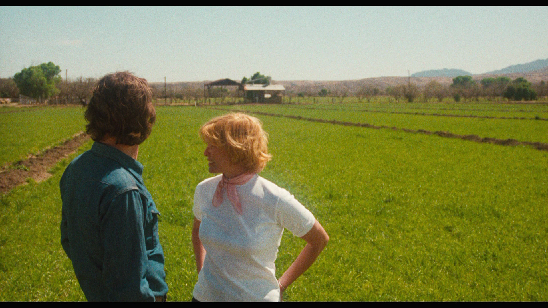 Alice.Doesn't.Live.Here.Anymore.1974.Criterion.BDRemux.1080p.mkv_20260704_121520.102.png