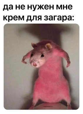 https://i3.imageban.ru/out/2026/07/04/de15fe062be63e967633c5dcff1981f2.jpg