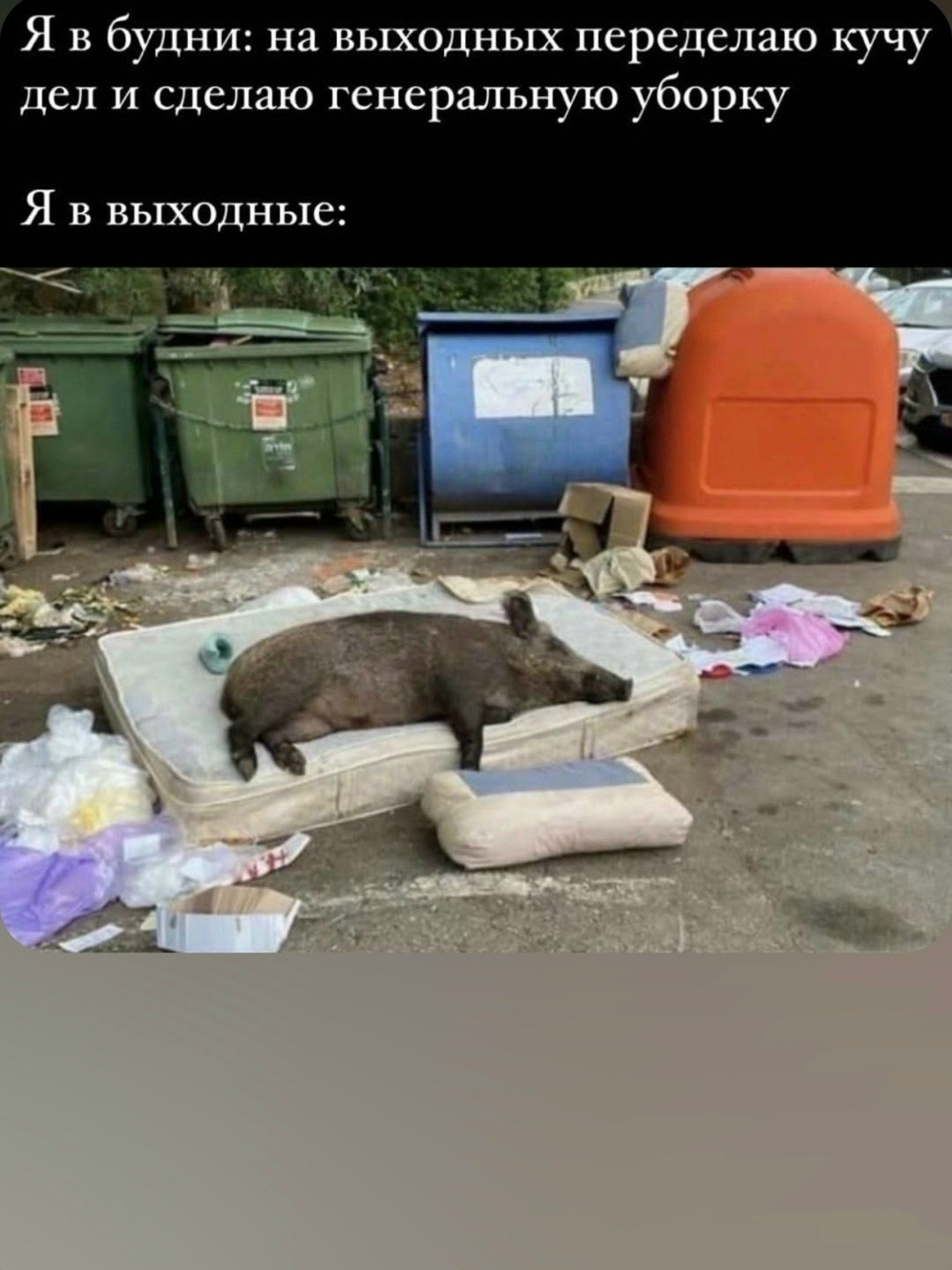 pNNsCgrYYDYNYx7DeNG5-3tiWwmEw58gJXl0deipSyxQsIFE_A8mmS4hYnfOR5cK7OvFM5tpcLO1JKMQlaR0qses.jpg