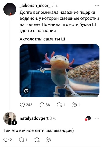 https://i3.imageban.ru/out/2026/07/05/5743e6abf4051a37b0eeebd42903770b.jpg