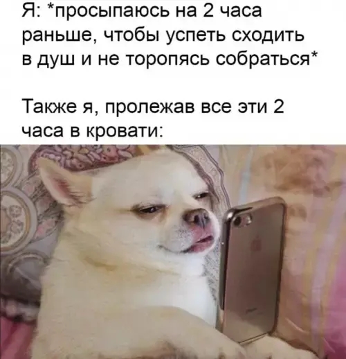 Vzg1sm503-mjeb6x1k337e8ZN1NhnBB00i14gWxeasEM2k3Ax3hVRYeKF18wmvy11oDa6wp2kSAZBjPo_qyjNaP0.jpg