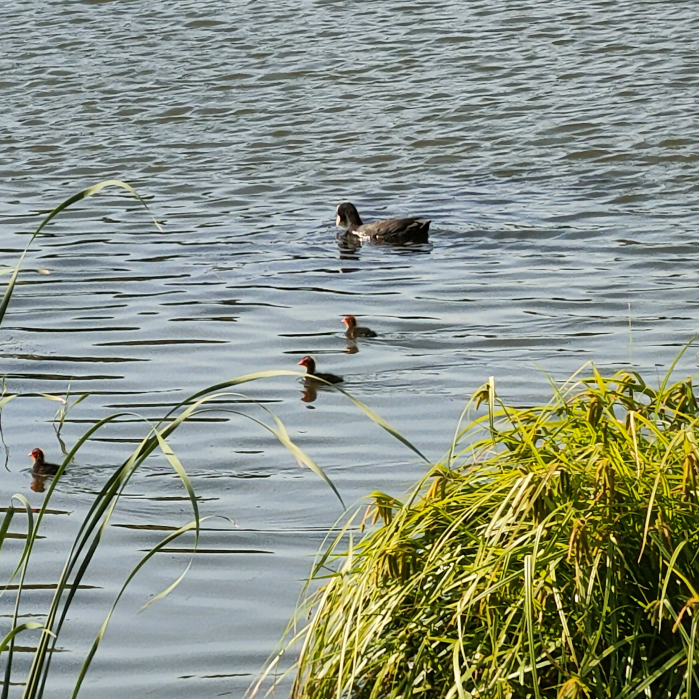IMG20260705082110.jpg