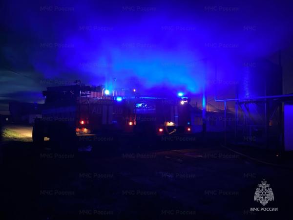 Пожар на свиноферме в Куединском округе: более 4000 свиней погибли