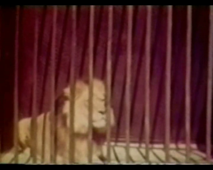 004_VHSRip.png
