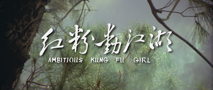 Ambitious Kung Fu Girl - Hong fen dong jiang hu (1981)_BDRip_.avi_snapshot_00.00.29.169.png