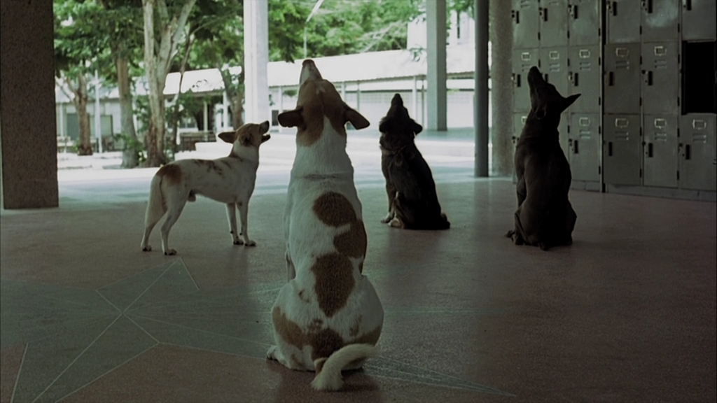 Пансионат.2006.BDRip AVC msltel.mkv_snapshot_00.52.14.295.jpg