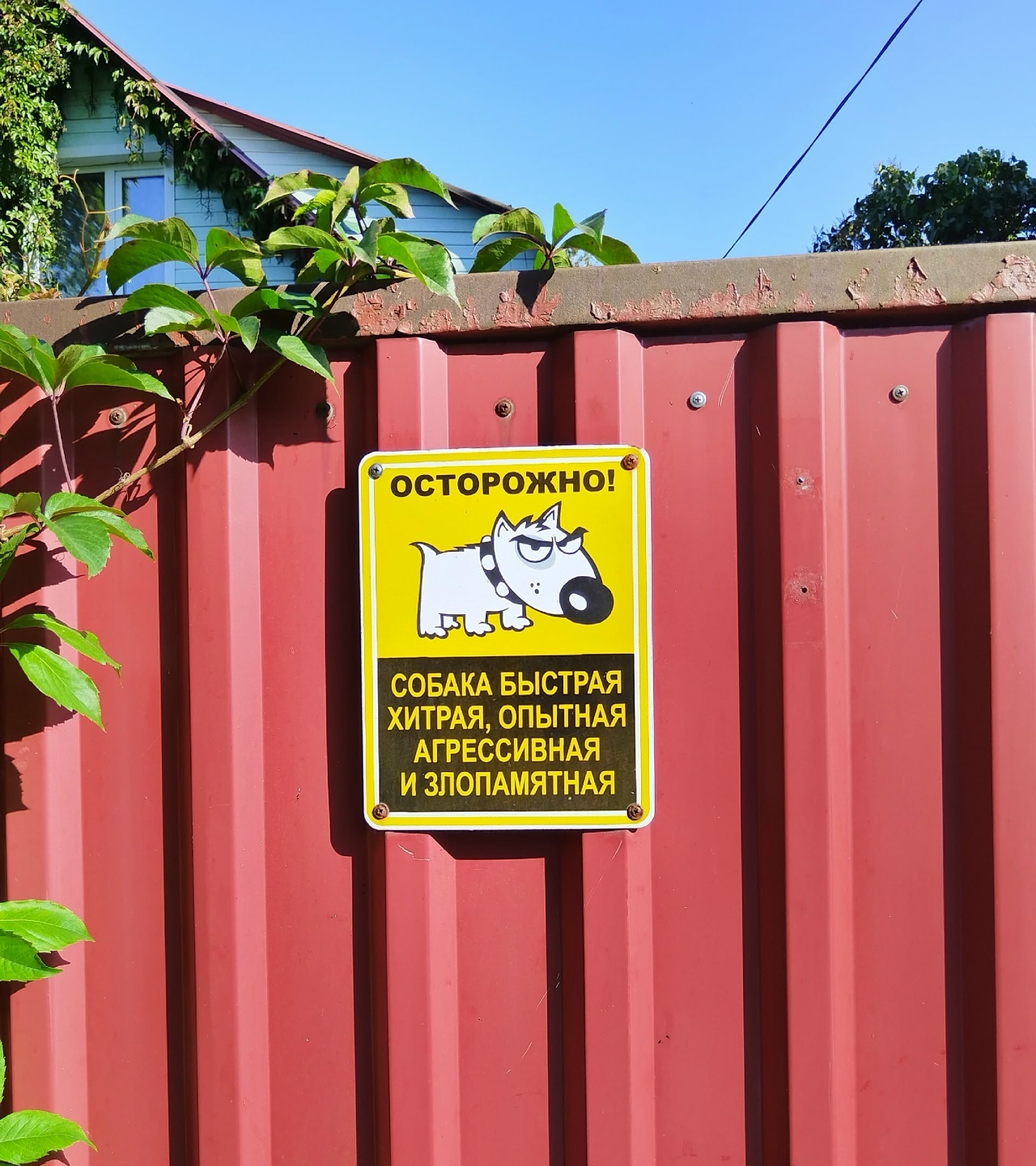 image.jpg