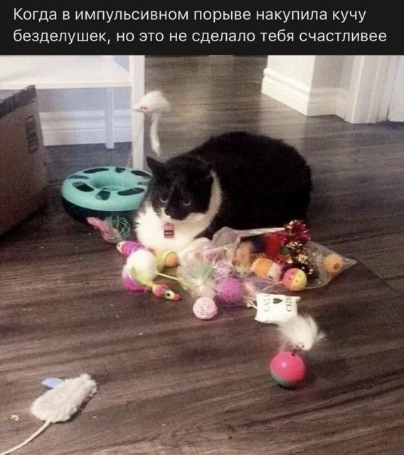 kBw4Lxxrndg4yxWUQRuUd-ICYOt0h1D-CjG5M5Pv2FGGmfsSndUobUpyCXTnOEX0u1dKiVEOzBvpLS1bHwjscznX.jpg