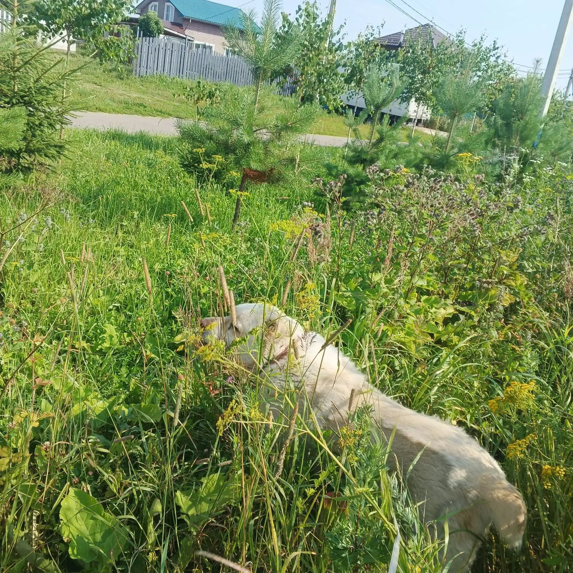 https://i3.imageban.ru/out/2026/07/29/0b8a2b8b7cf7377e647927bbea6a13fd.jpg