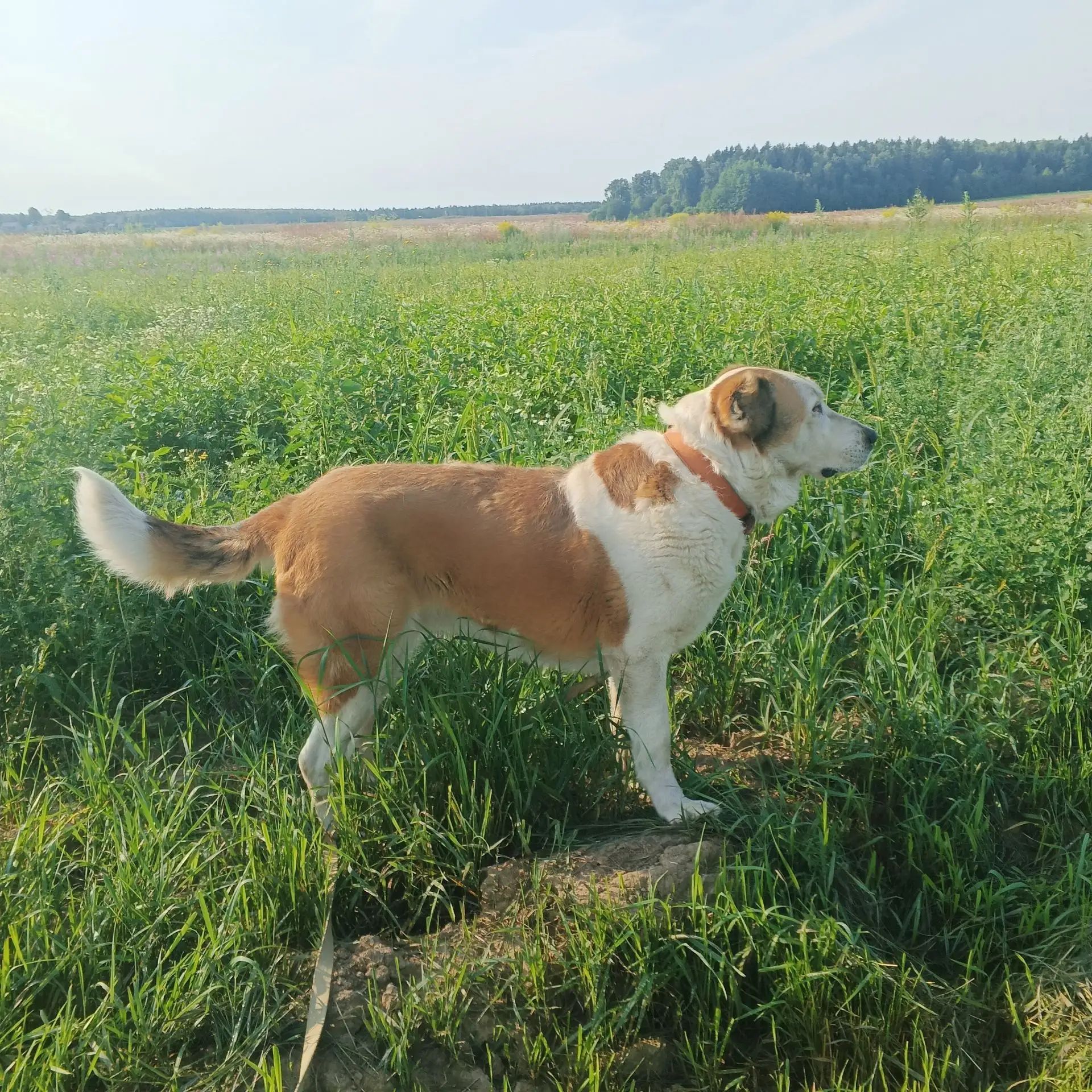 https://i3.imageban.ru/out/2026/07/29/4599345f6b2b7fa157b9808d71e4f2ca.jpg