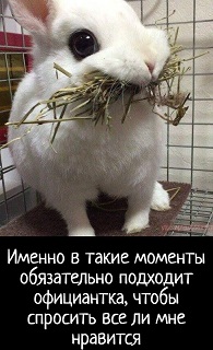 https://i3.imageban.ru/out/2026/07/29/7df401c2b83680a9b3fb95c898beb2c3.jpg