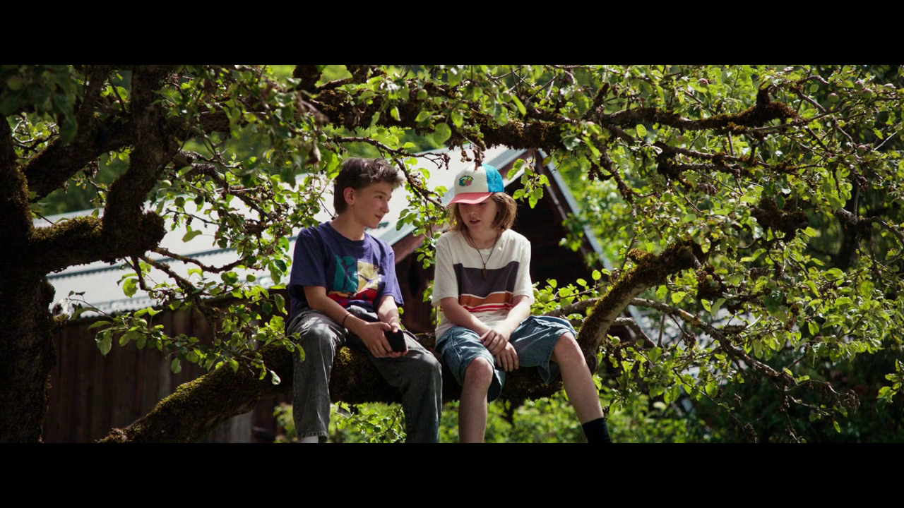vlcsnap-2026-07-29-09h45m52s309.png