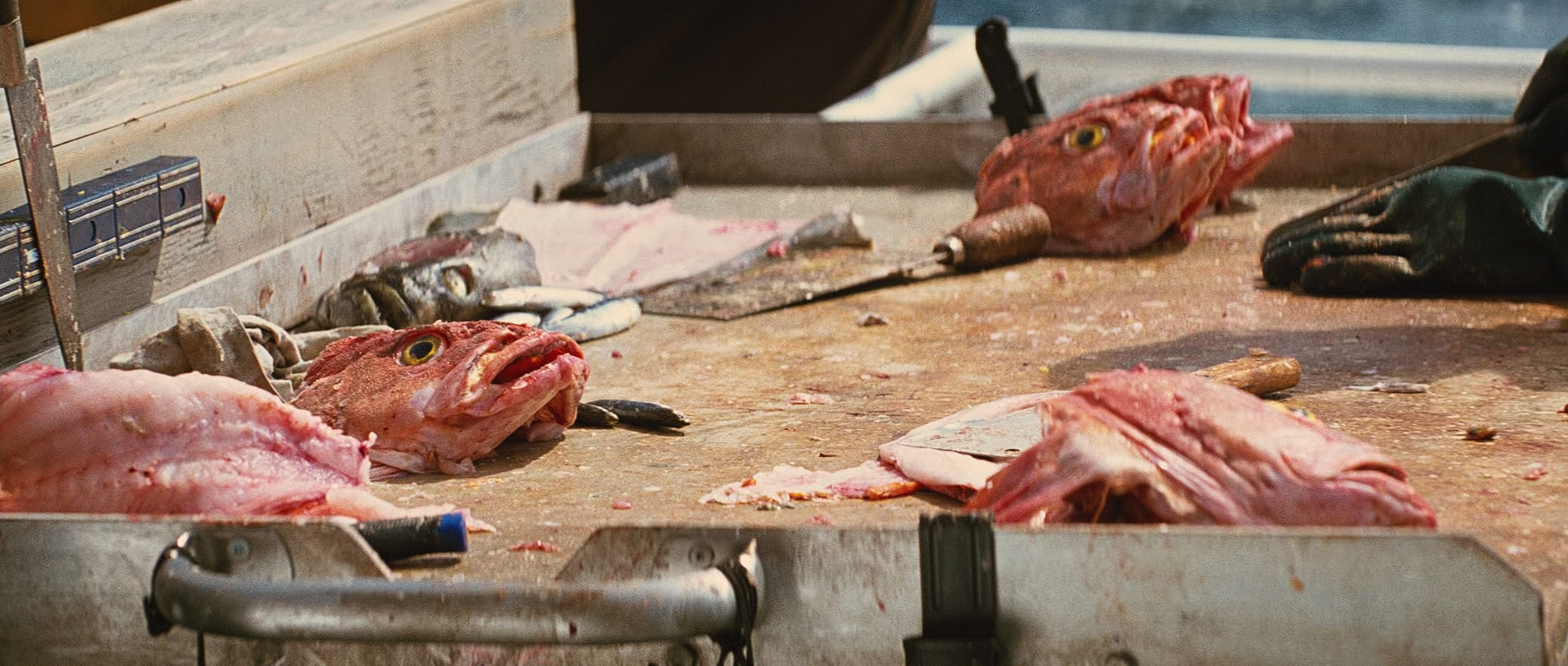 Большой год (2011) (AV1).mkv_20260801_113824.766.png
