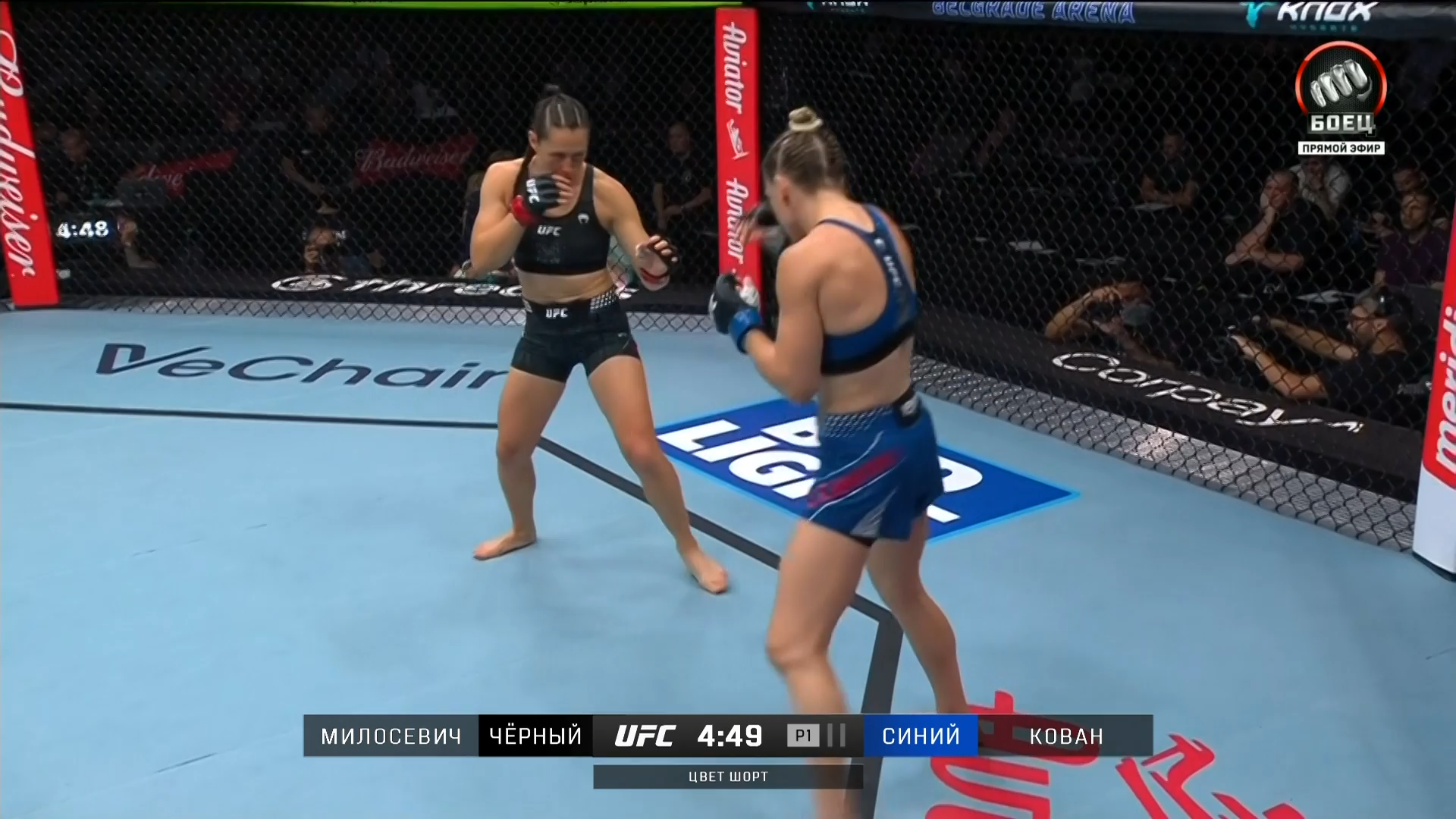 UFC Fight Night 283 Medic vs Rodriguez - Боец (50 FPS) [Prelims].mkv_snapshot_00.45.49.900.png
