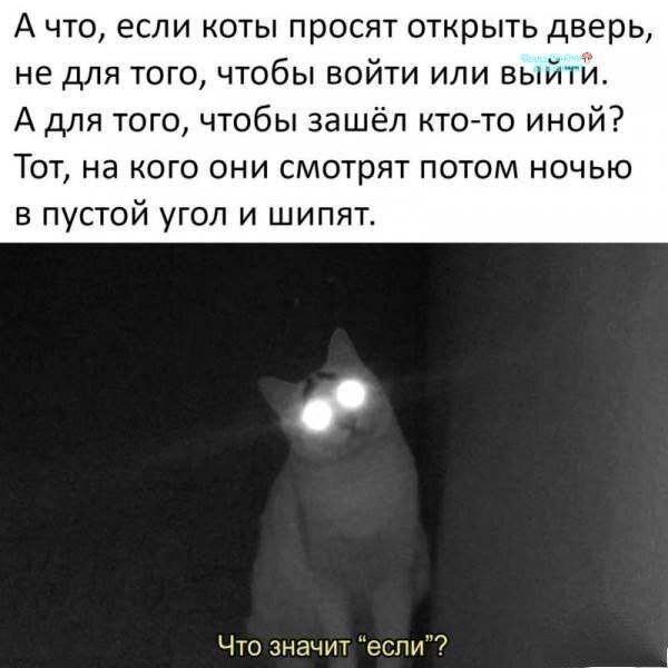 6e672f43ddd8922a5aa8cfa4a8c76ea7.jpg
