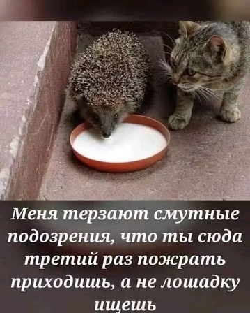 https://i3.imageban.ru/out/2026/08/06/754db525d133d8344becd4aef9d37f0e.jpg