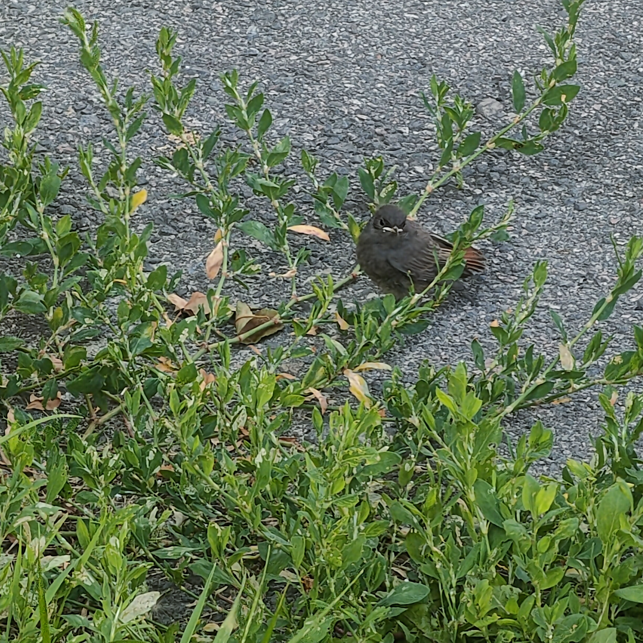 IMG20260808141704.jpg