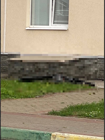 https://i3.imageban.ru/out/2026/08/12/819f456fb9ca79488d2c284553a7b828.jpg