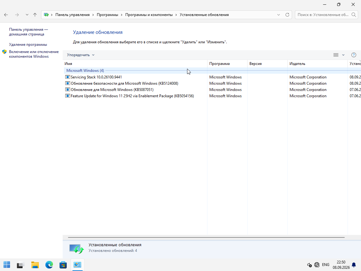VirtualBox_W10_B_08_09_2026_22_50_58.png