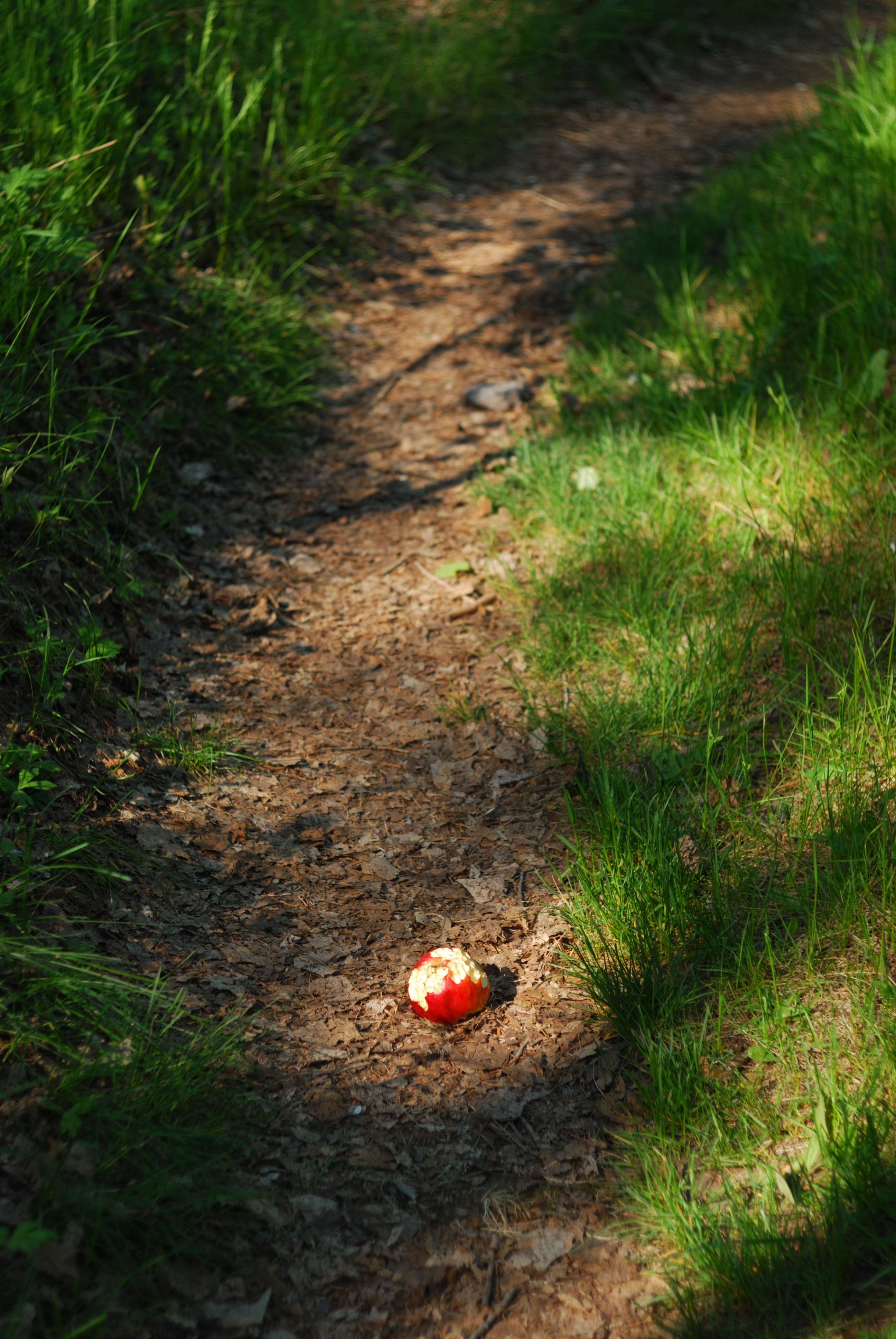 DSC_0891.JPG