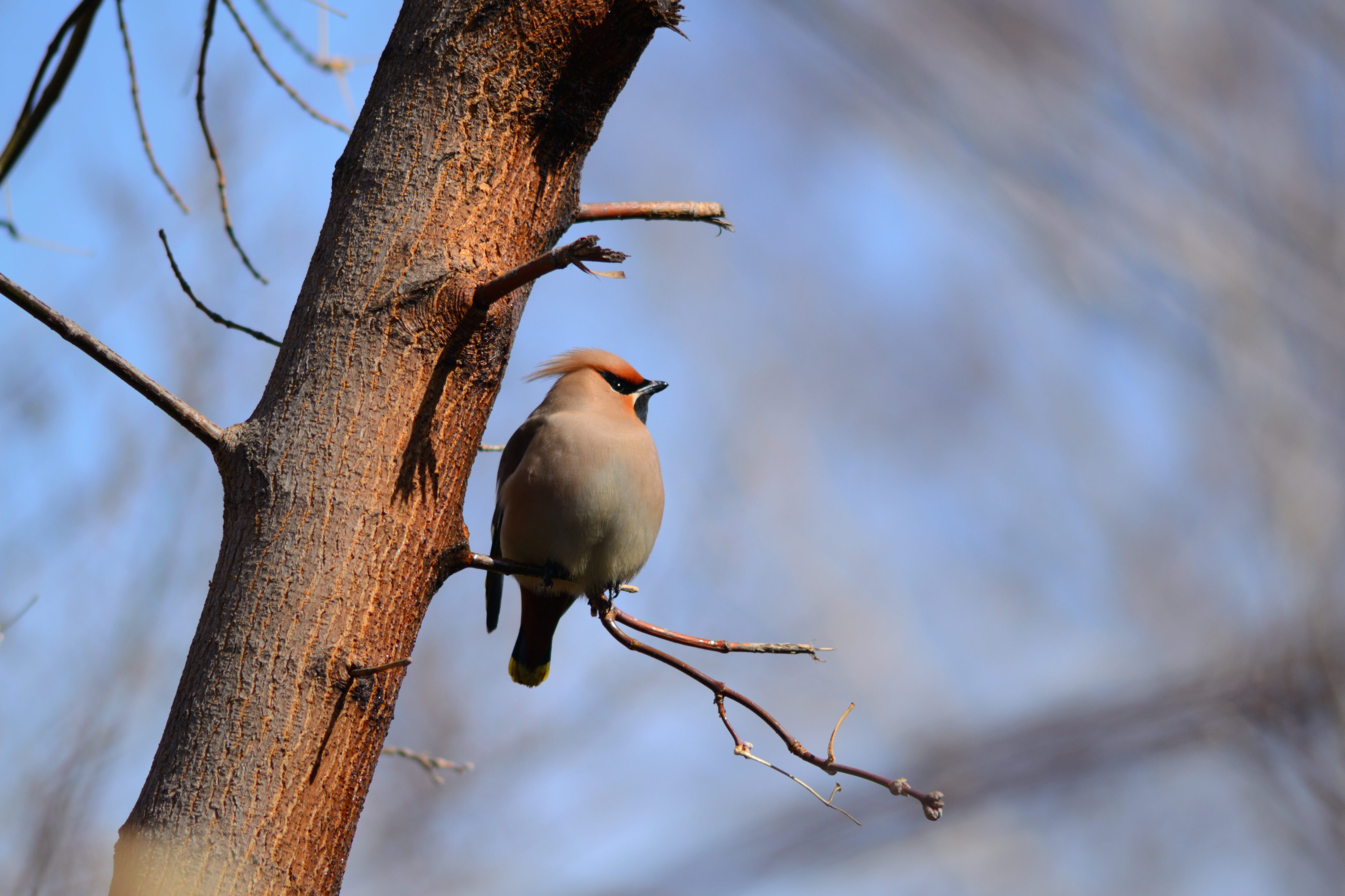 DSC_6788_01.JPG