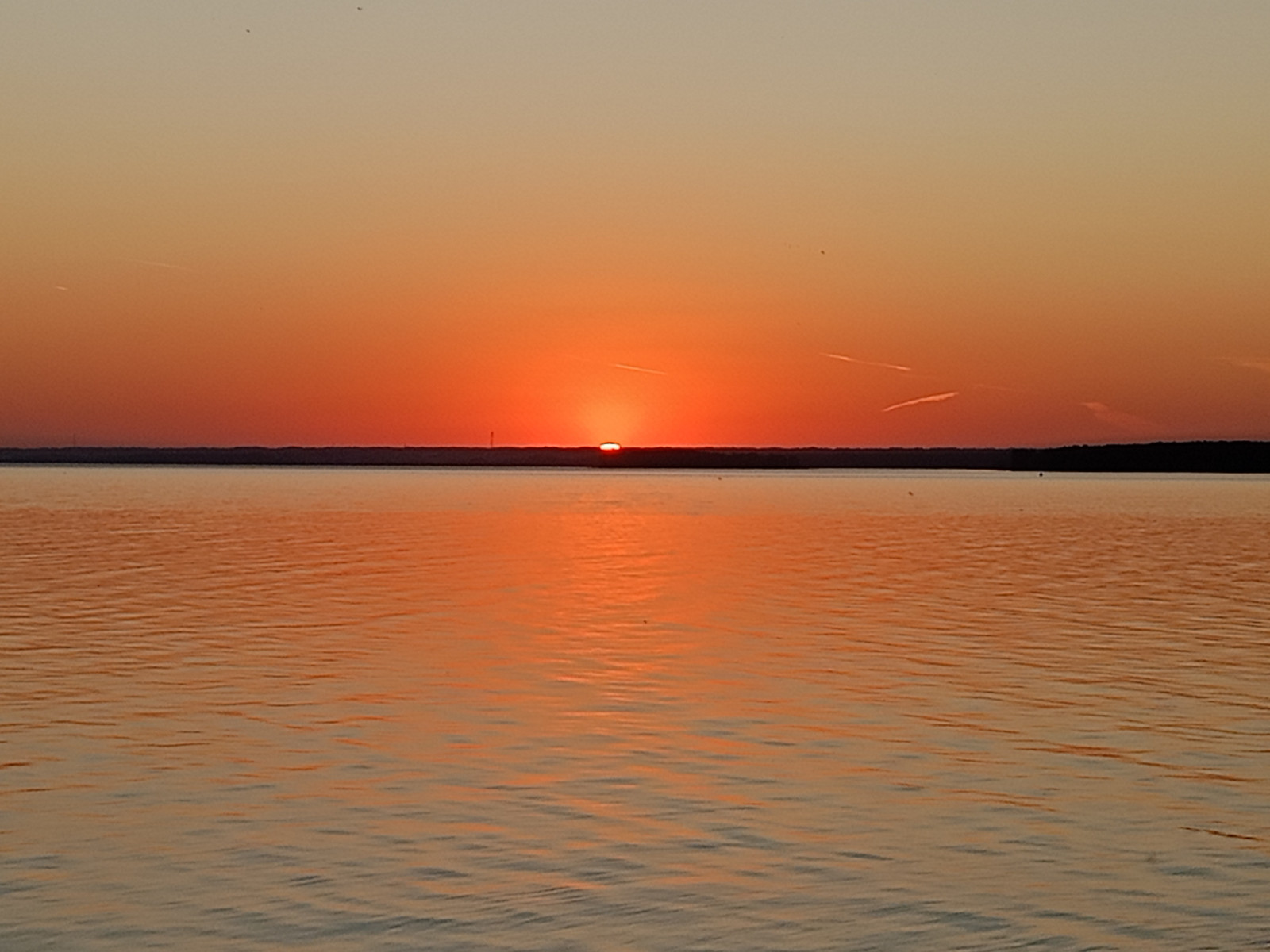 IMG20260911195510.jpg