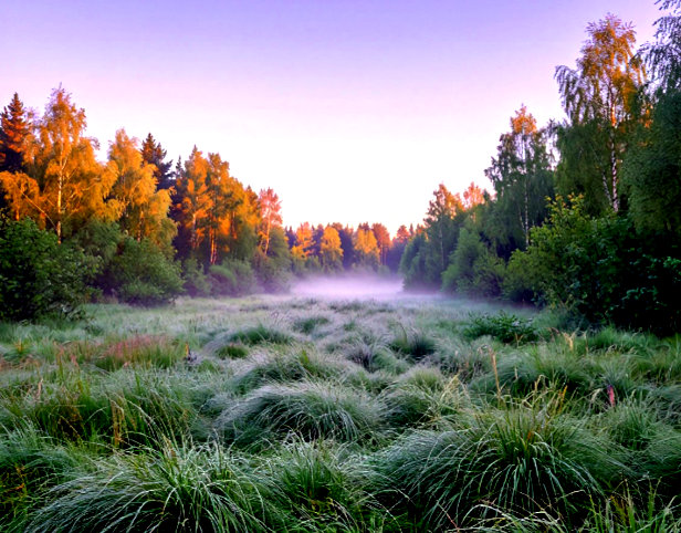 https://i3.imageban.ru/out/2026/09/16/074be4ceef3c04a84c981ec7d55d910a.jpg
